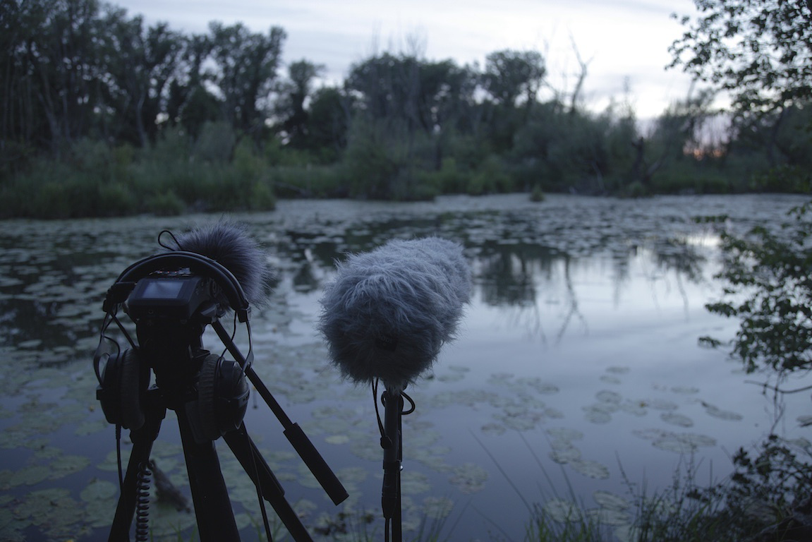 A cloud shped like a skull above the sea.